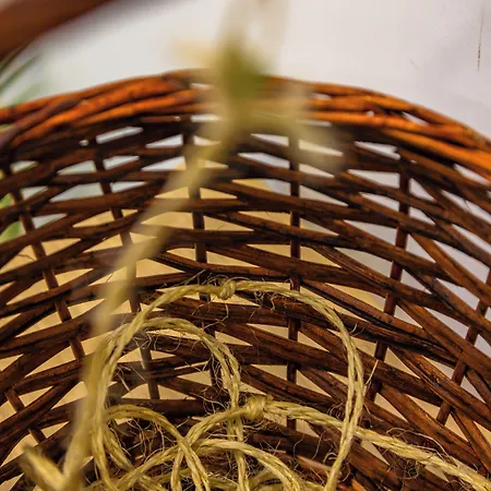 Lo Spagnoletto - Indipendente